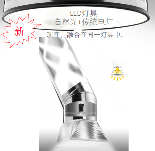 1629794341(1).png